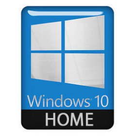 Лицензия Windows 10 Home rus ESD